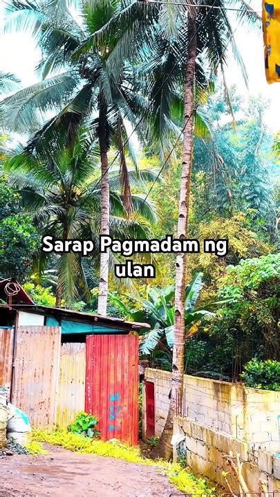 kantutan pwet|Sarap Pagmasdan ng Bilugang Pwet Niya Habang Sinasalaksak .